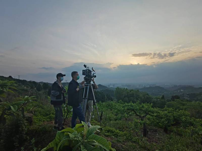 创意破圈！潢川县电商产品宣传视频用故事化叙事引爆流量