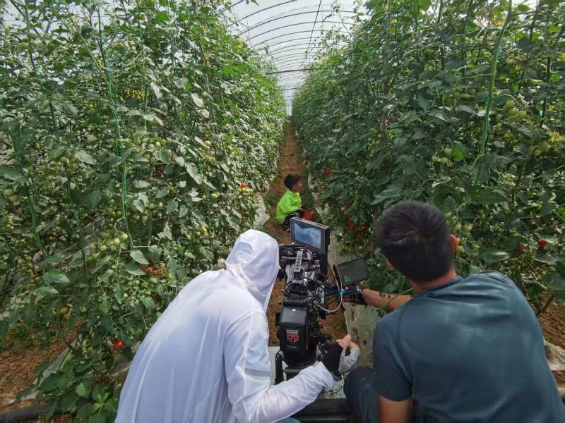 潢川县产品宣传视频拍摄公司进阶指南，助力品牌抢占传播高地